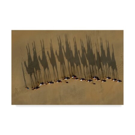 Trademark Fine Art Louise Wolbers 'A Journey Of Shadows' Canvas Art, 12x19 1X07256-C1219GG